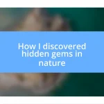 How I discovered hidden gems in nature