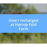 How I recharged at Harrop Fold Farm