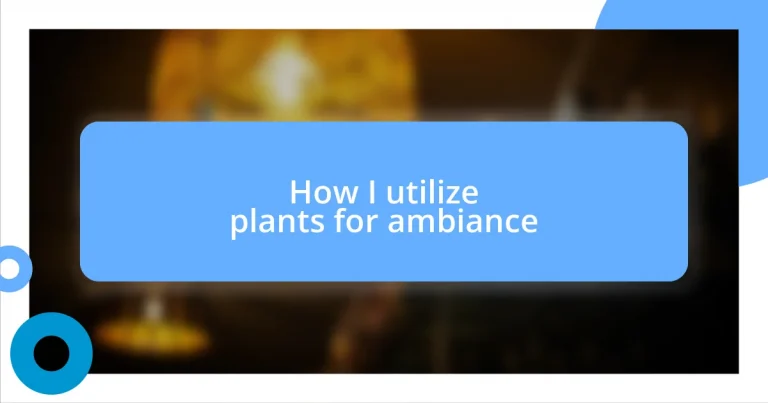 How I utilize plants for ambiance