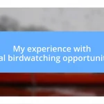 My experience with local birdwatching opportunities