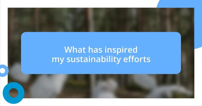 What has inspired my sustainability efforts